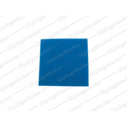 PHILIPS için 432200494471 Ön Filtre Süngeri