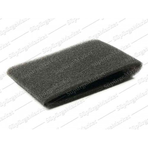 PHILIPS için Thriatlon Sünger Filtre